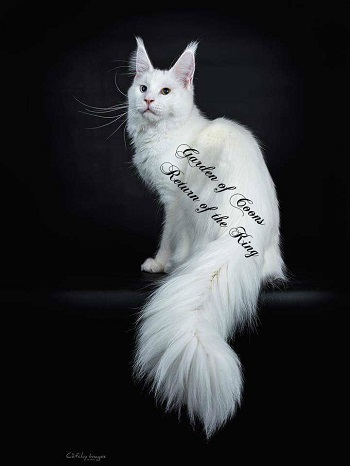 casper