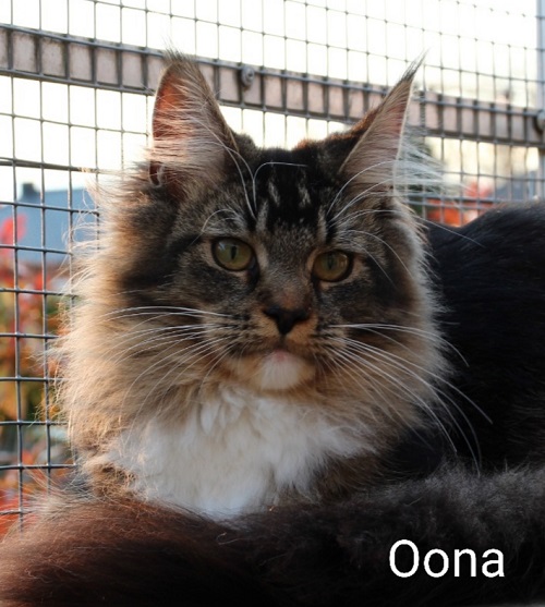 oona